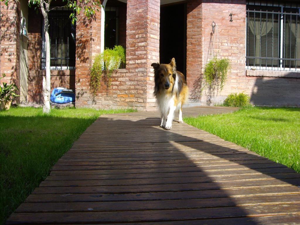 Casa Mapocha Villa Mendoza Exterior foto